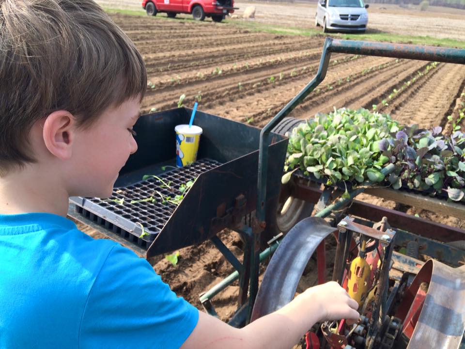 15 Cheminement professionnel (PRO308JA)