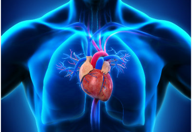 Compétence 14 : Procédés de soins et systèmes cardiovasculaire et respiratoire