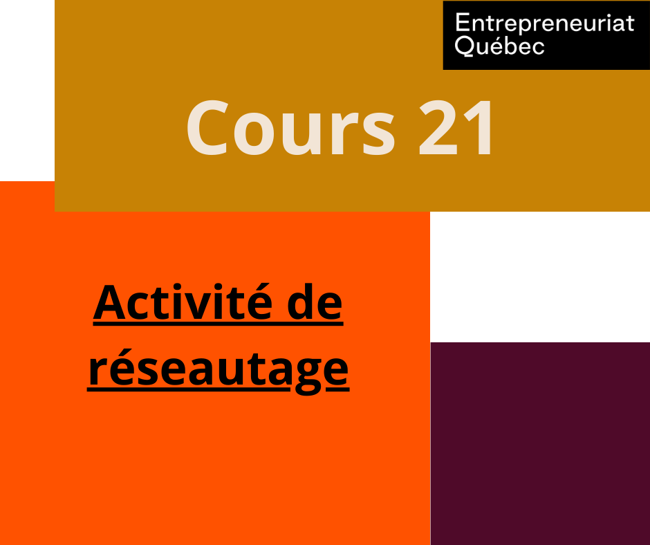 Cours 21 : Activité de réseautage 