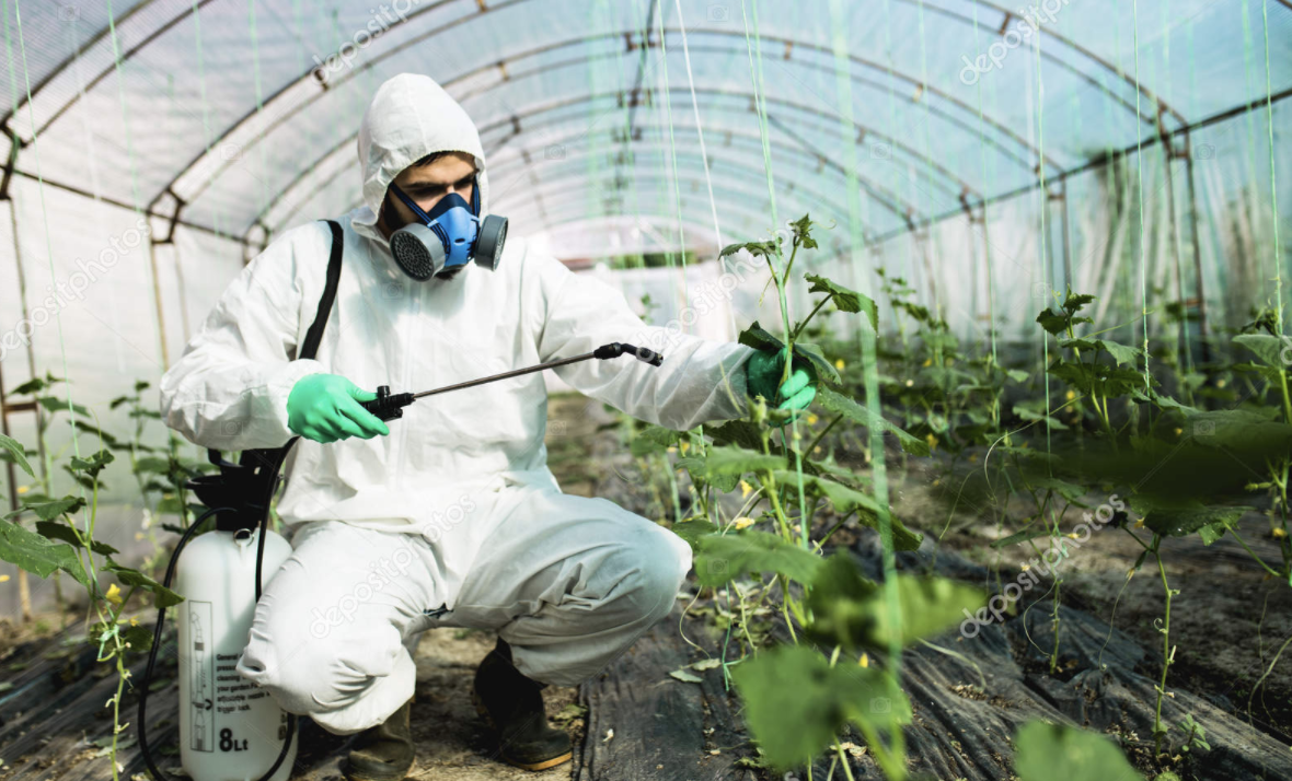 09 Entretien d'une culture en serre (Pesticides)