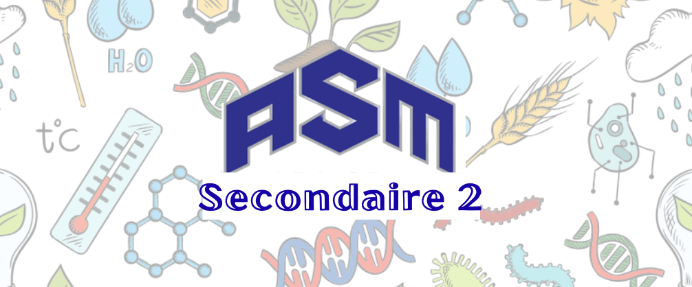 SCI-ASM SEC2