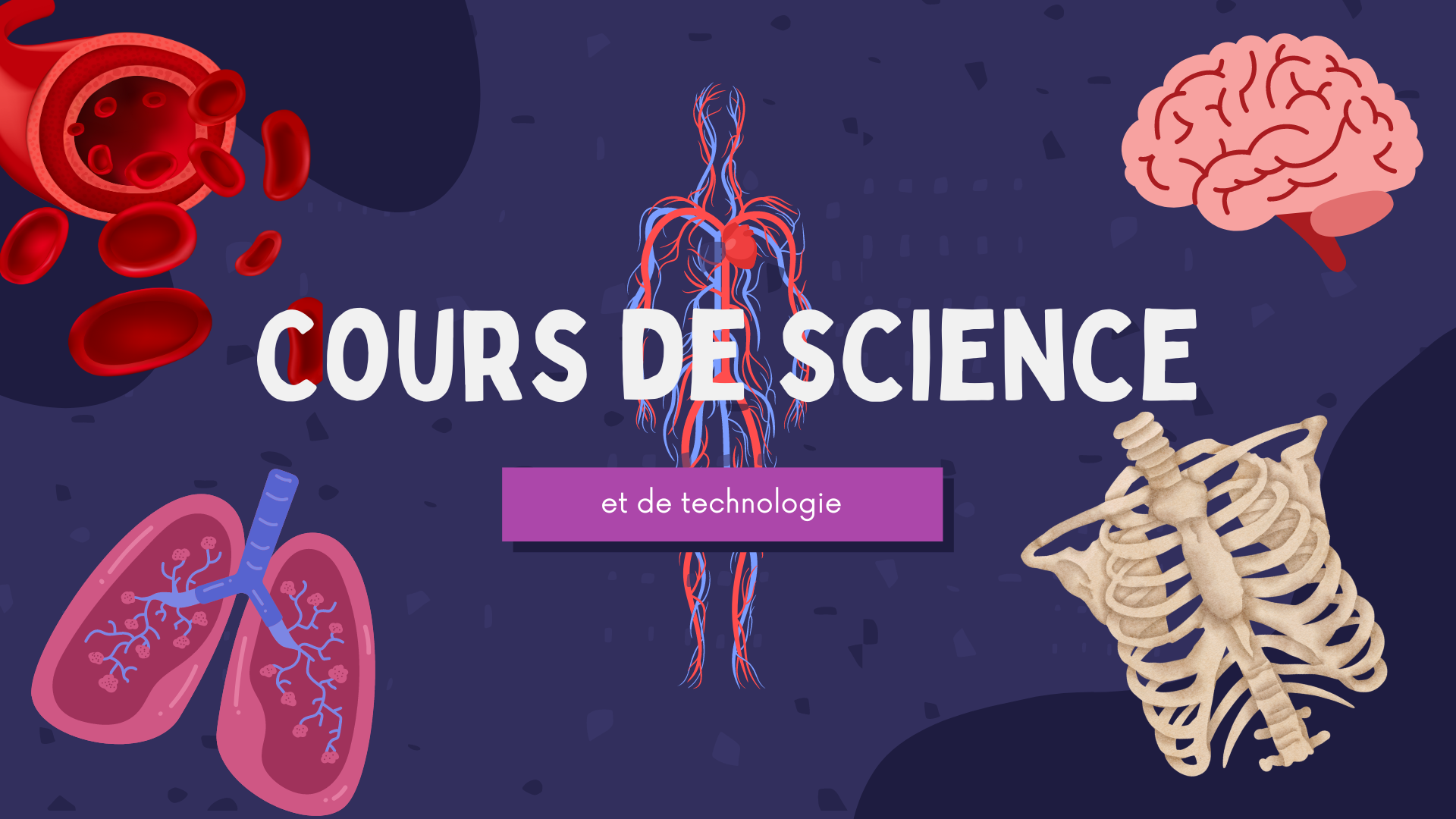 Moodle Science - Le Sommet - Secondaire 3