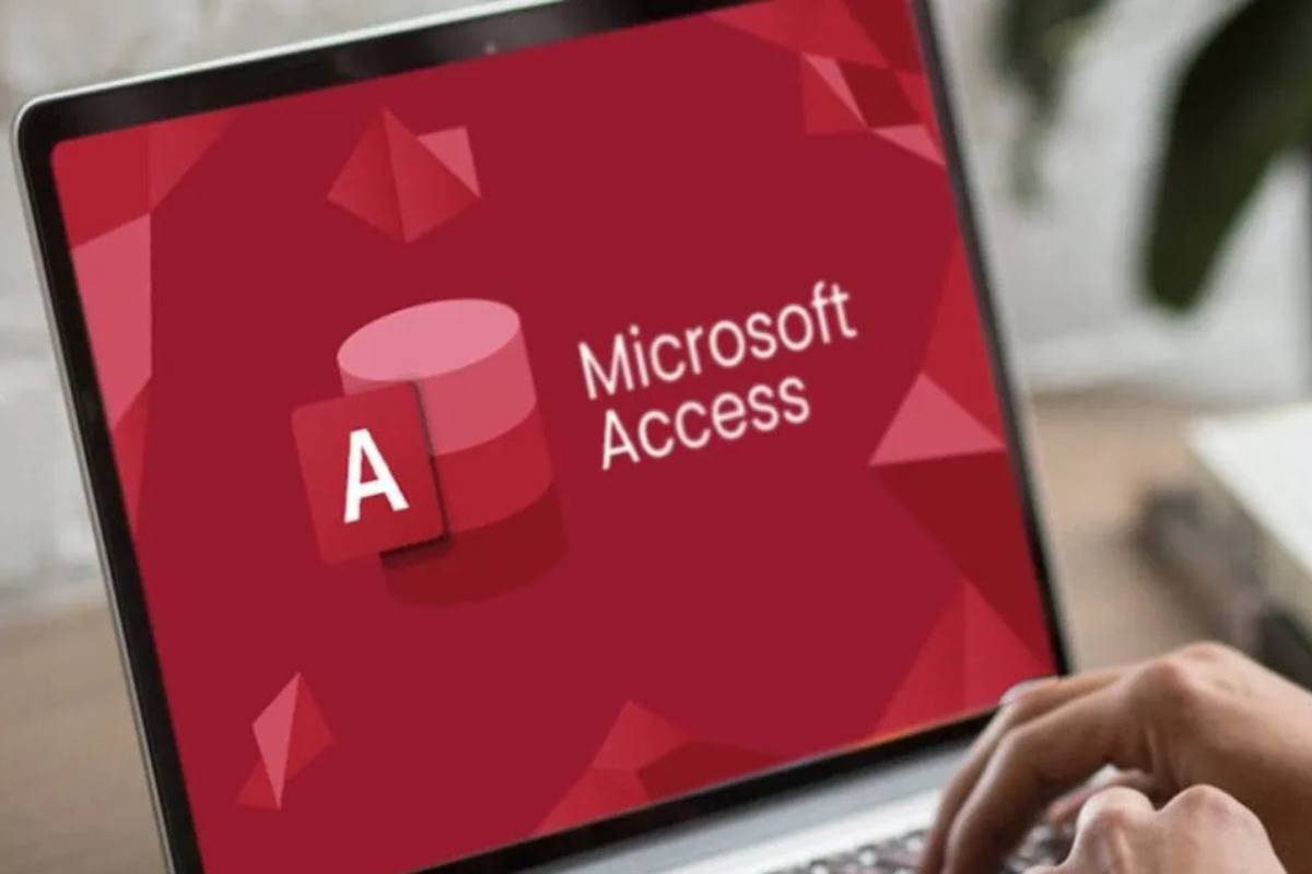 460613 - Création de base de données