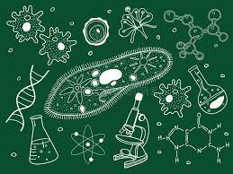 SCT306 - Jacques Labbé