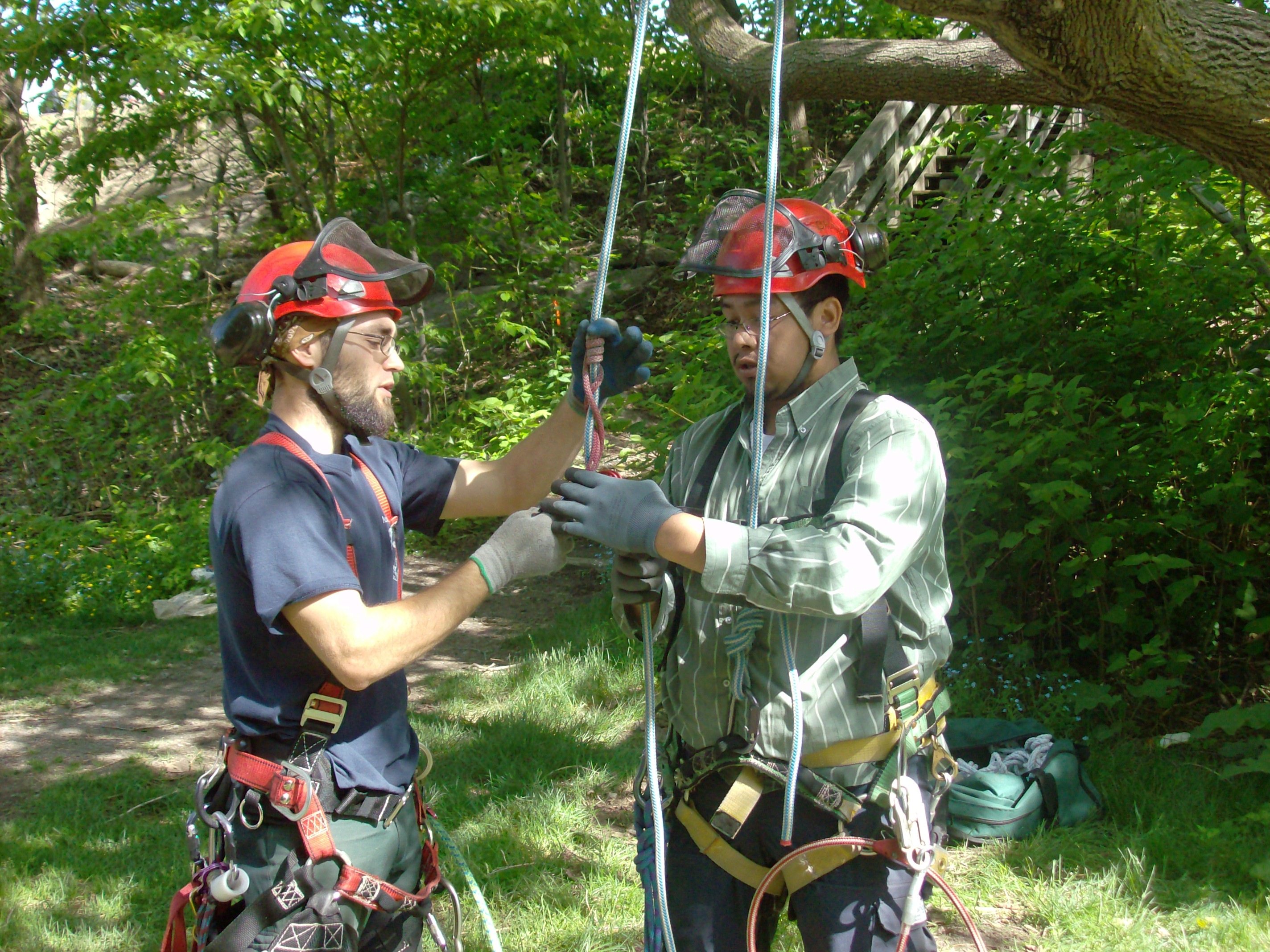 C17: Intégration au milieu de travail