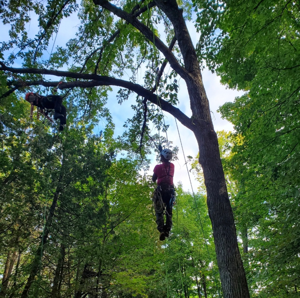 C13: Sauvetage aérien dans un arbre