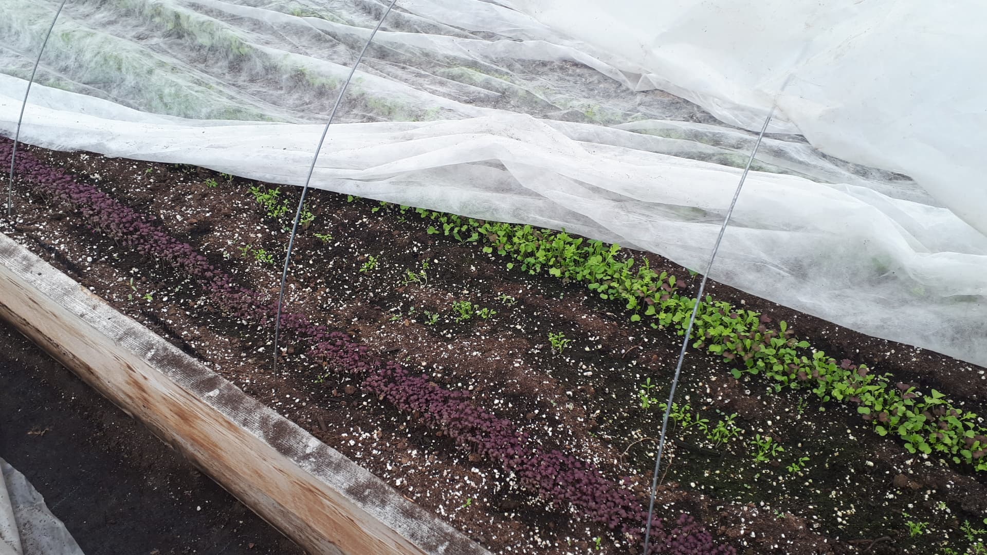 13 Implantation à l'extérieur (H2025)